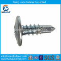 B8 B8M ss304 ss316 stainless steel hex head Thread Cutting Screw